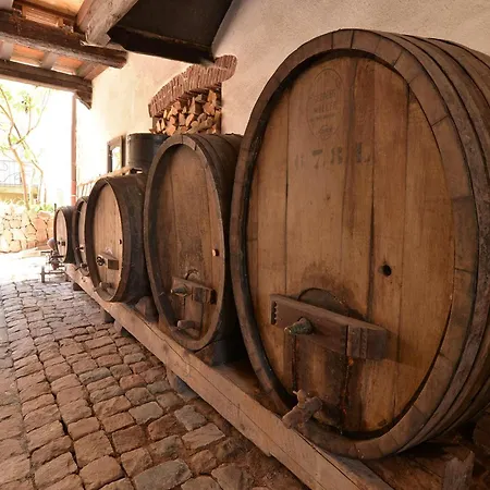 Belle Maison Alsacienne De 1610 Casa vacanze Gueberschwihr