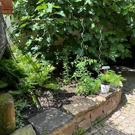 Belle Maison Alsacienne De 1610 Feriehus Gueberschwihr