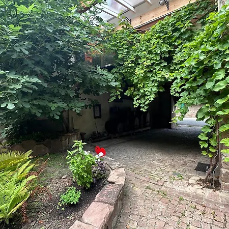 Belle Maison Alsacienne De 1610